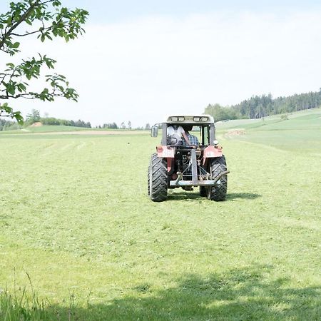 Biohof Mayerhofer Grossmeinharts Zewnętrze zdjęcie